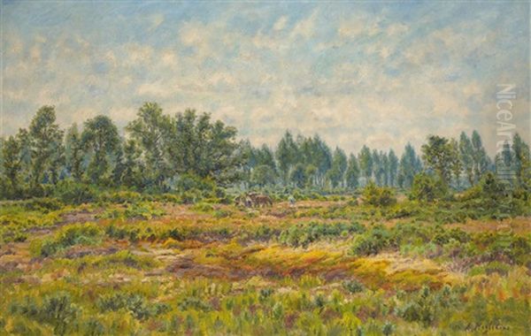 Paysage Ensoleille Oil Painting by Alfred Hazledine