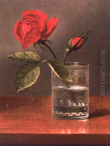Rose Oil Painting by Martin Johnson Heade
