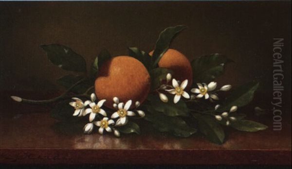 Two Oranges With Orange Blossoms Oil Painting by Martin Johnson Heade