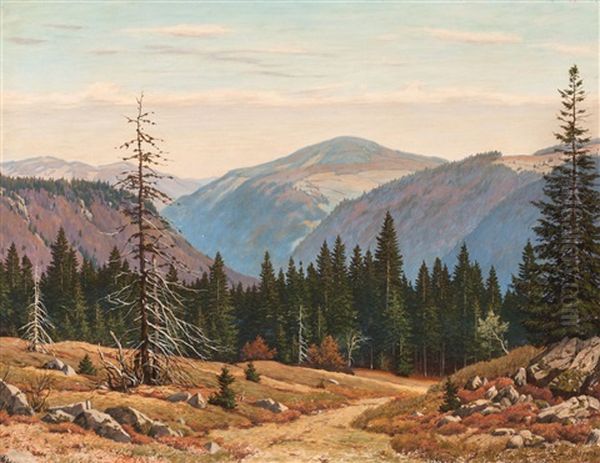 View On An Autumn Coloured Mountain Landscape At The Black Forest Oil Painting by Julius Heffner