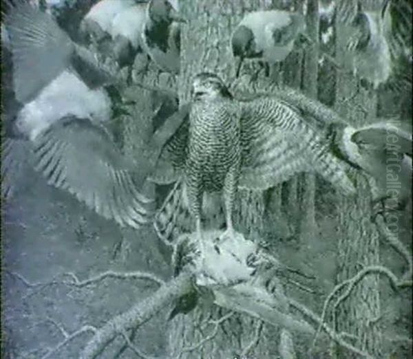 Rovfugl Med Bytte Angribes Af Krager Oil Painting by Gerhard Heilmann