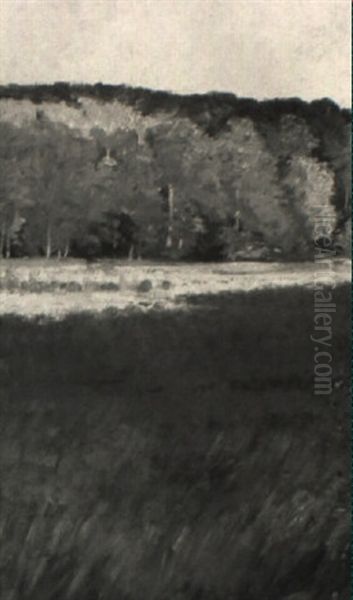 Besonnter Waldrand Mit Erntefeld Oil Painting by Robert Heinrich