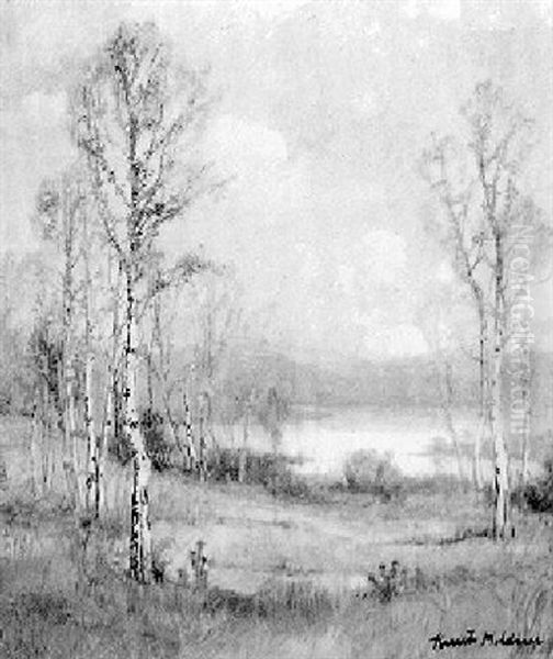 Birch Trees In The Sun Oil Painting by Knute Heldner