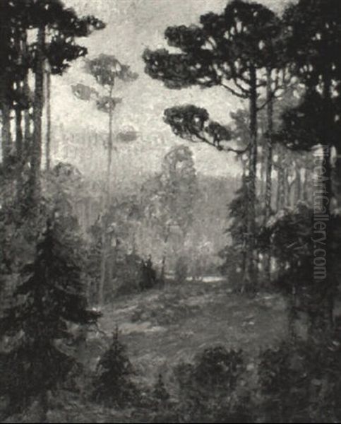 Sunset At Clearwater Lake Oil Painting by Knute Heldner