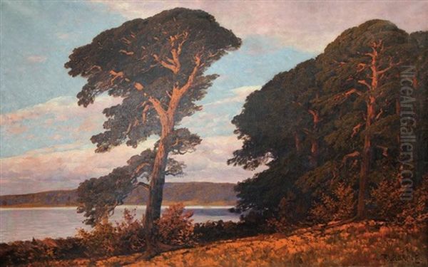 Machtige Kiefern Am Markischen Seeufer Im Abendrot Oil Painting by Rudolf Hellgrewe