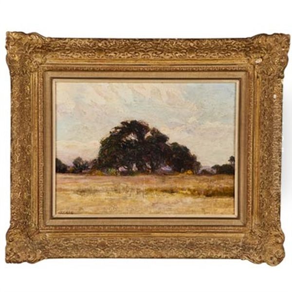 Landscape With Bolo Tree, Brazil Oil Painting by Alfredo H. Helsby