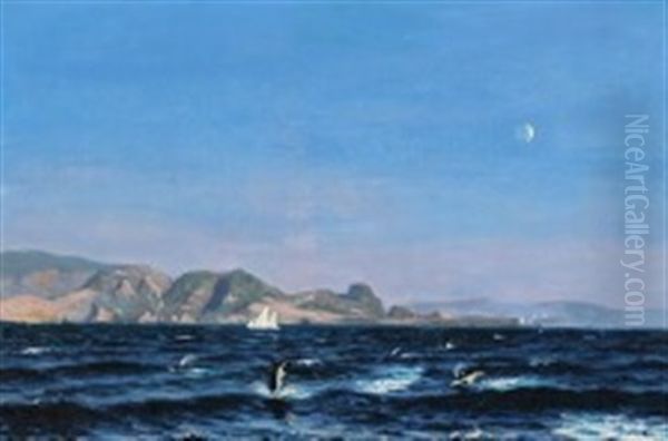 Early Night Scene With A Flock Of Harbour Porpoises Jumping Out Of The Water Oil Painting by Axel Helsted