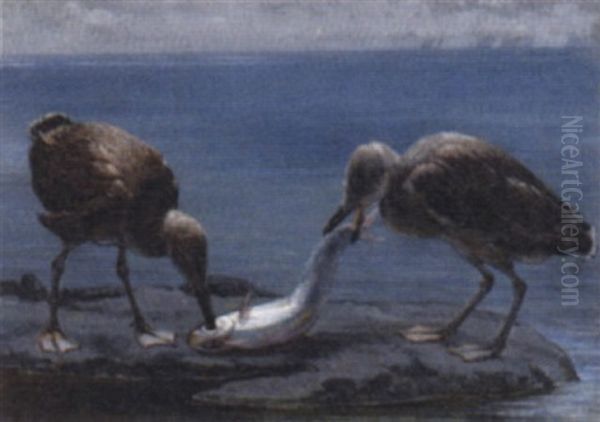 To Sofugleunger Der Spiser Sild Oil Painting by Axel Helsted