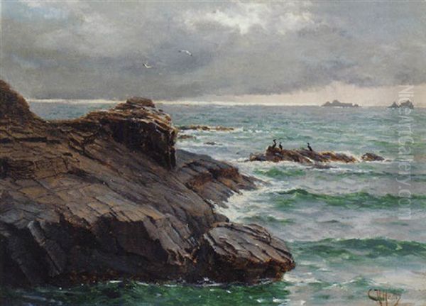 Shags On A Rocky Coastline Oil Painting by Charles Napier Hemy