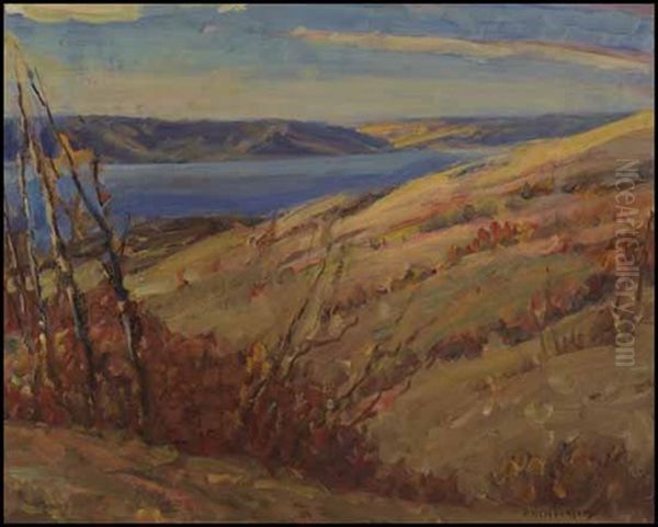 The Qu'appelle Valley Near Katepwa, Sask Oil Painting by Henderson, James