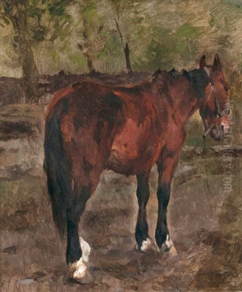 Stehendes Pferd Oil Painting by Thomas Ludwig Herbst