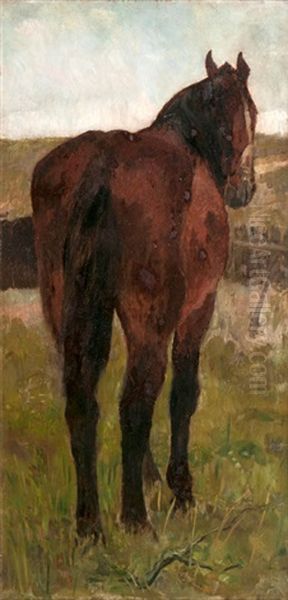 Stehendes Pferd Oil Painting by Thomas Ludwig Herbst