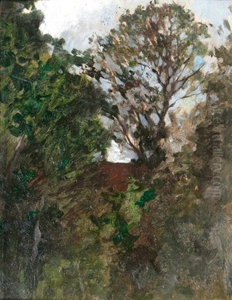 Lichtung Am Abend Oil Painting by Thomas Ludwig Herbst