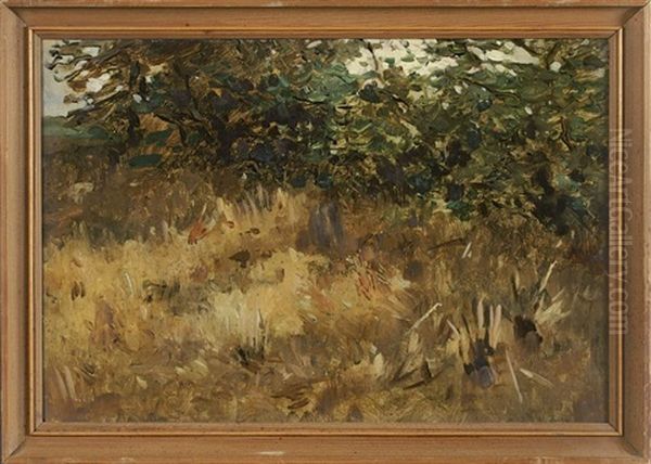 Boschung Mit Vertrocknetem Gras Und Baumen Oil Painting by Thomas Ludwig Herbst