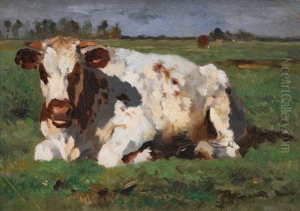 Lying White Cow Oil Painting by Thomas Ludwig Herbst