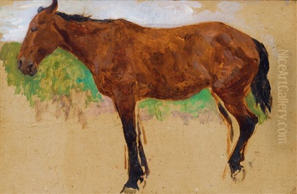 Study Of A Horse Oil Painting by Thomas Ludwig Herbst