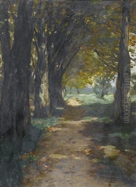 Baumgesaumter Weg Im Sommer Oil Painting by Thomas Ludwig Herbst