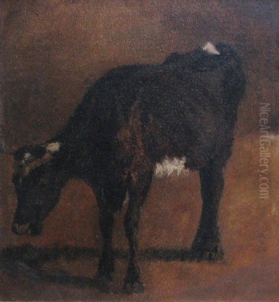 Brunbroget Ko (study) Oil Painting by Thomas Ludwig Herbst