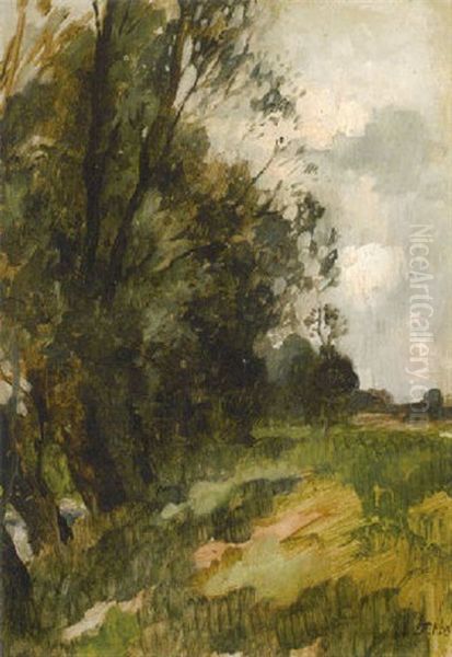 Landschaft Mit Weidenbaumen Am Bach Oil Painting by Thomas Ludwig Herbst