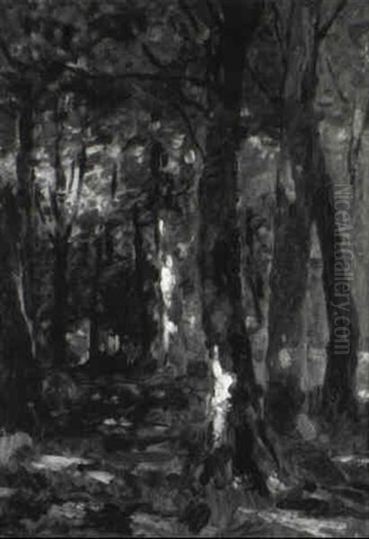 Wald Inneres Oil Painting by Thomas Ludwig Herbst