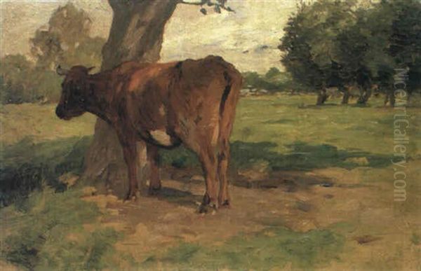 Norddeutsche Weidenlandschaft Mit Einer Jungkuh Unter Einem Baum Oil Painting by Thomas Ludwig Herbst