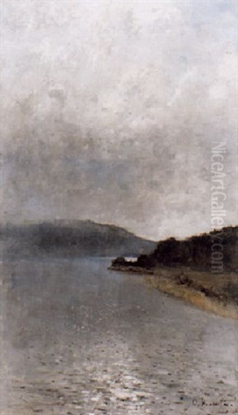 Sjolandskap I Soldis - Motiv Fran Langangen Oil Painting by Olof Hermelin