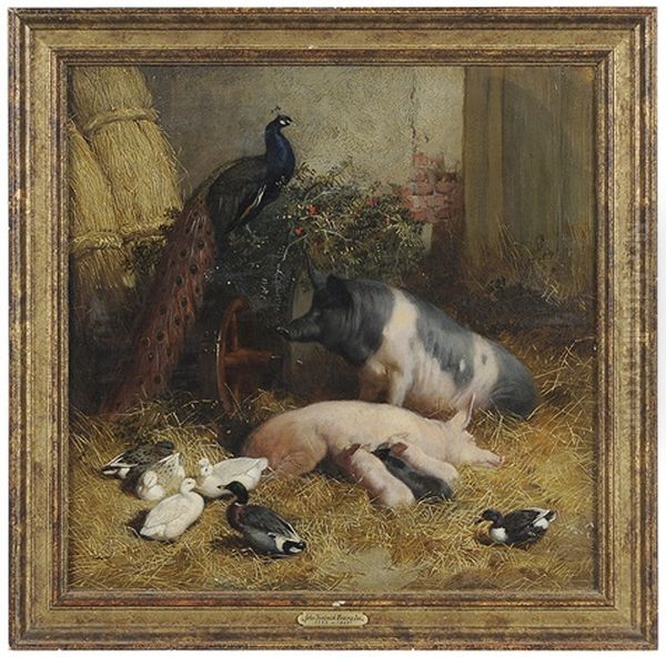 Pigs Oil Painting by John Frederick Herring