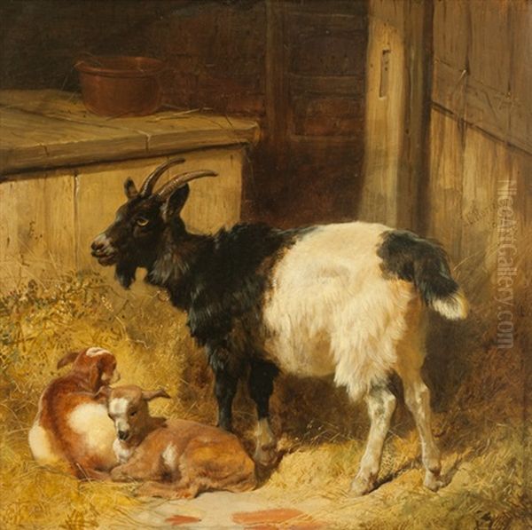 Goats In A Barn Oil Painting by Herring, James