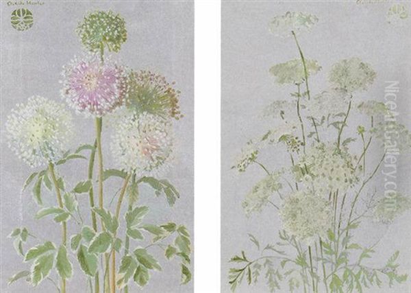 Allium Oil Painting by Adele Herter