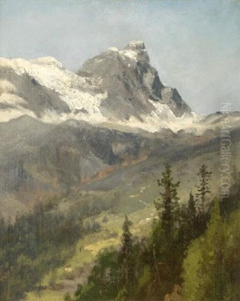 Mountain Peaks Study Oil Painting by Hermann Herzog