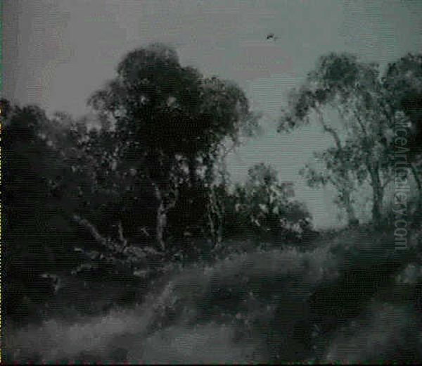 Florida Sunset Landscape Oil Painting by Hermann Herzog