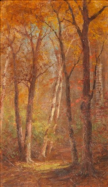 October- Sunlight In The Woods Oil Painting by Edward Hill