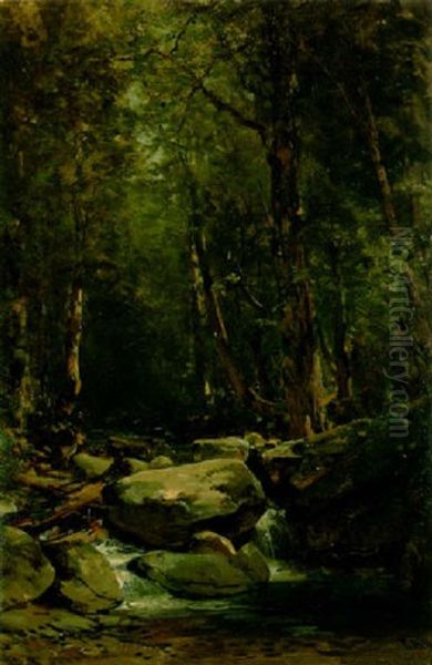 A Boulder-strewn Forest Stream Oil Painting by Thomas Hill