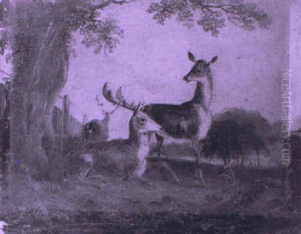 Landscape With Deer Resting Under A Tree Oil Painting by Robert Hills