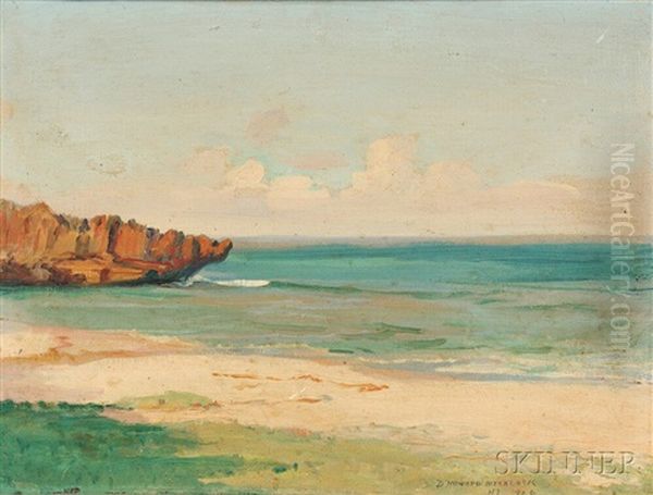 Hawaiian Beach Oil Painting by David Howard Hitchcock