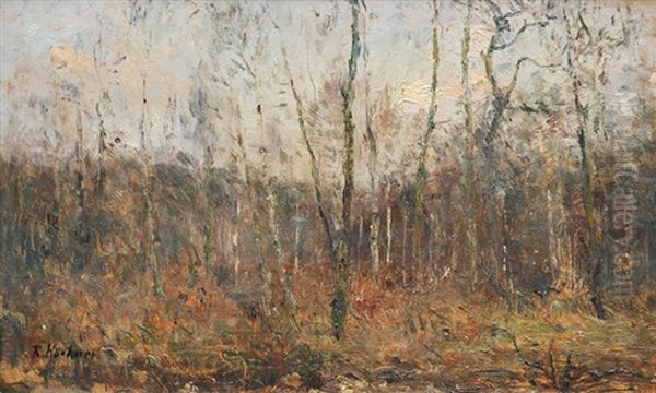 Wood In Early Spring Oil Painting by Rudolf Hoeckner