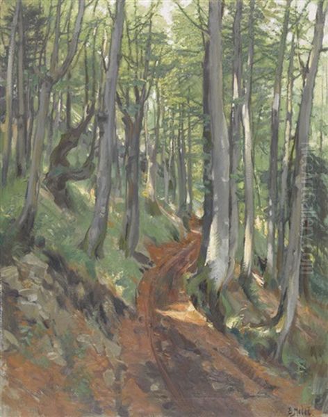 Lichter Waldweg Oil Painting by Ernst Hodel the Younger