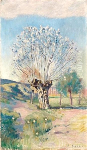 Weidenbaum Oil Painting by Ferdinand Hodler