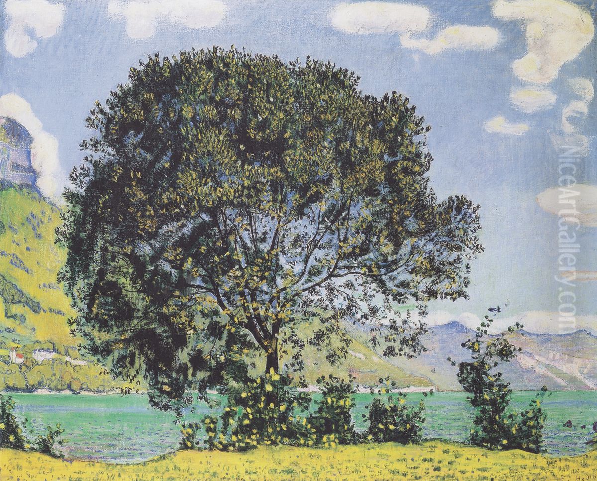 Baum Am Brienzersee Vom Bodeli Aus Oil Painting by Ferdinand Hodler