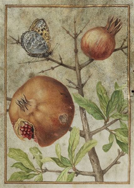 Botanikmalerei Oil Painting by Joris Hoefnagel