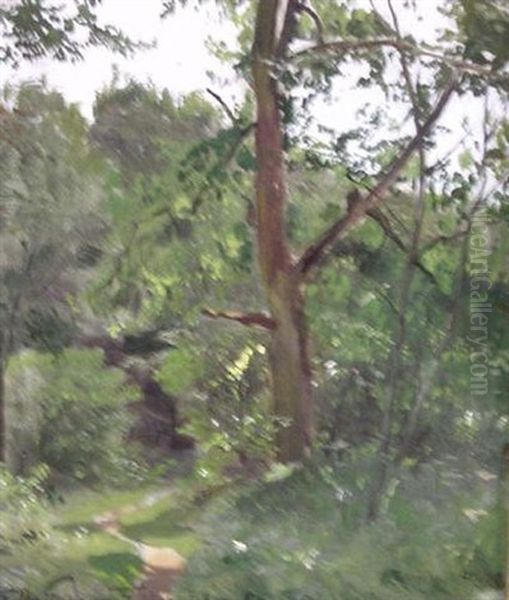 Pfad In Sommerlichen Waldesdickicht Oil Painting by Franz Hoffmann-Fallersleben