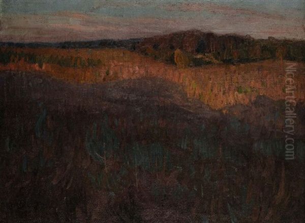 Heide- Und Sumpflandschaft Oil Painting by Felix Hollenberg