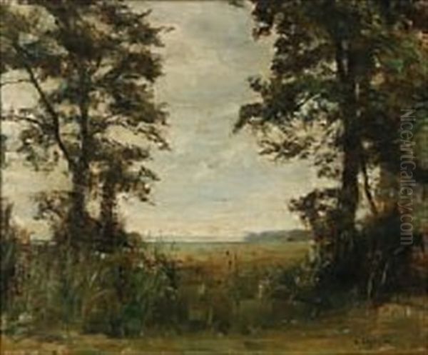 View From A Forest Glade Oil Painting by Carl Vilhelm Holsoe
