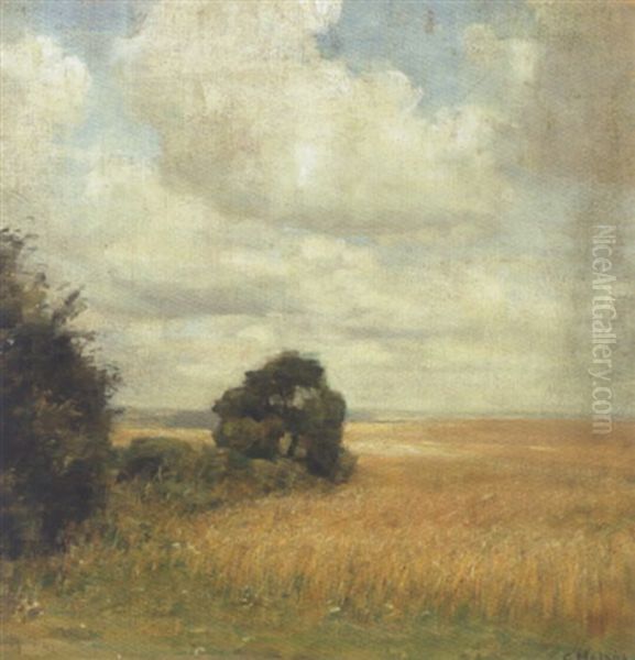 Landskab Med Udsigt Over Mark Oil Painting by Carl Vilhelm Holsoe