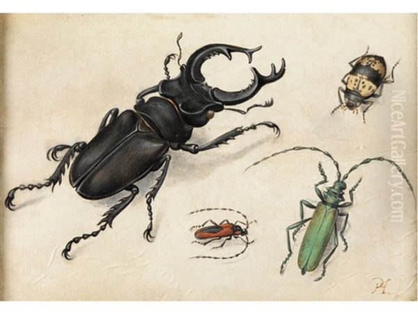 Hirschkafer Und Drei Weitere Kafer Auf Hellem Grund Oil Painting by Pieter Holsteyn the Elder