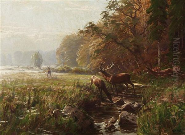 Sonniger Morgen In Der Brunft Oil Painting by Albert Holz