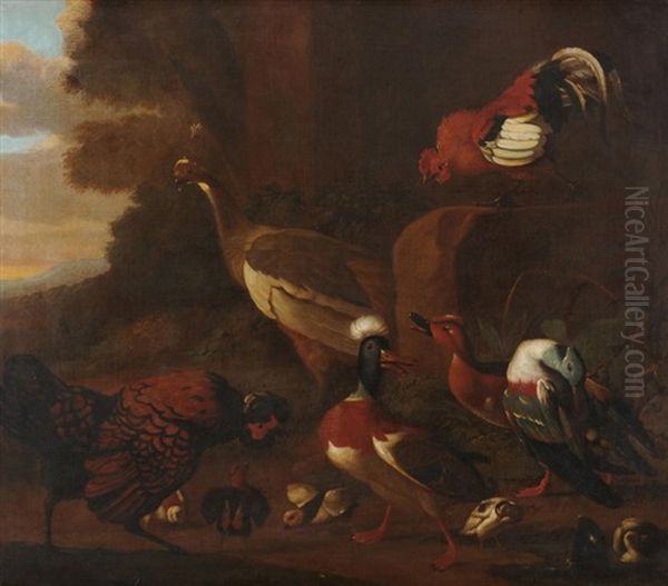 Vogelvieh Oil Painting by Melchior de Hondecoeter