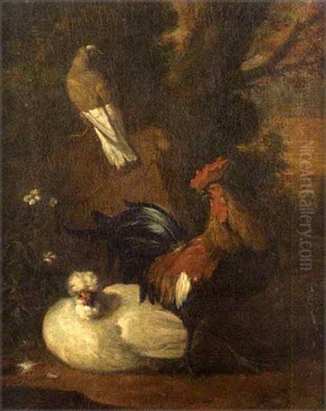 Poule, Coq Et Pigeon Oil Painting by Melchior de Hondecoeter