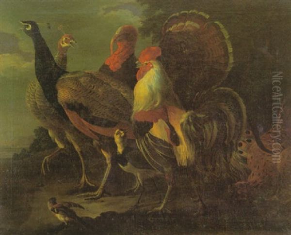 Hahn, Pfauen Und Truthahn Vor Landschaft Oil Painting by Melchior de Hondecoeter