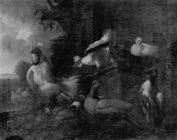 A Cockerel, Hens, Pigeons, A Pheasant And A Mallard In A Yard Oil Painting by Melchior de Hondecoeter